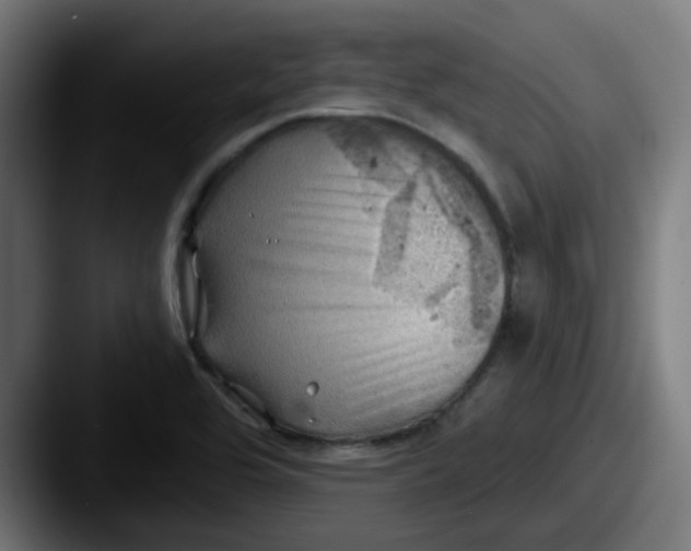 X0000087551464200705181058