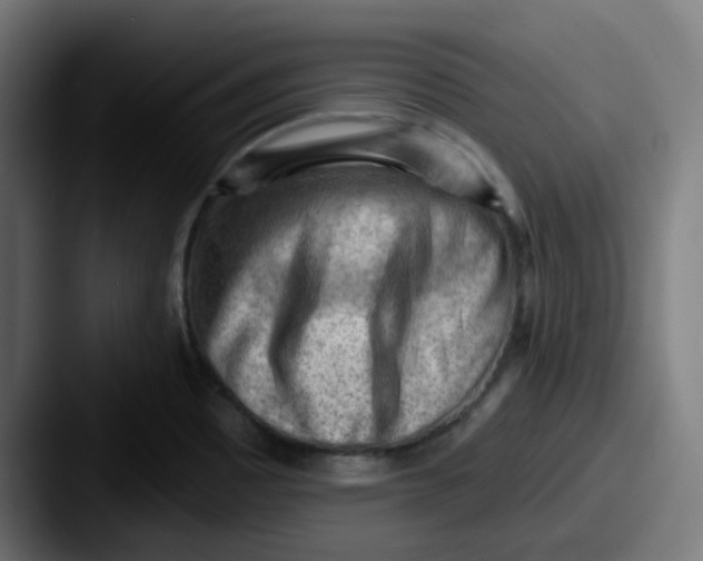 X0000087551465200705181058