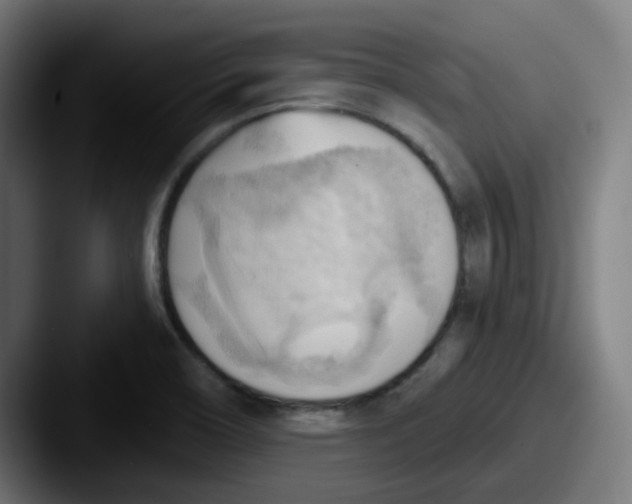 X0000087551466200705181058