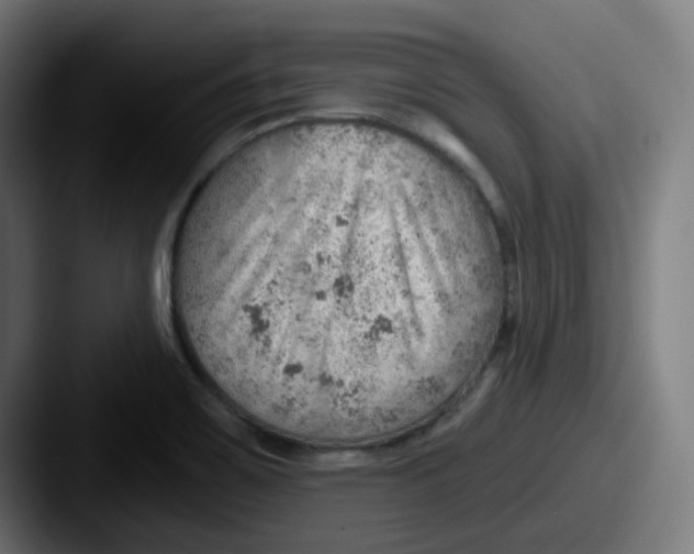 X0000087551467200705181058