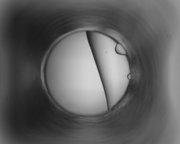 X0000087551468200705181058