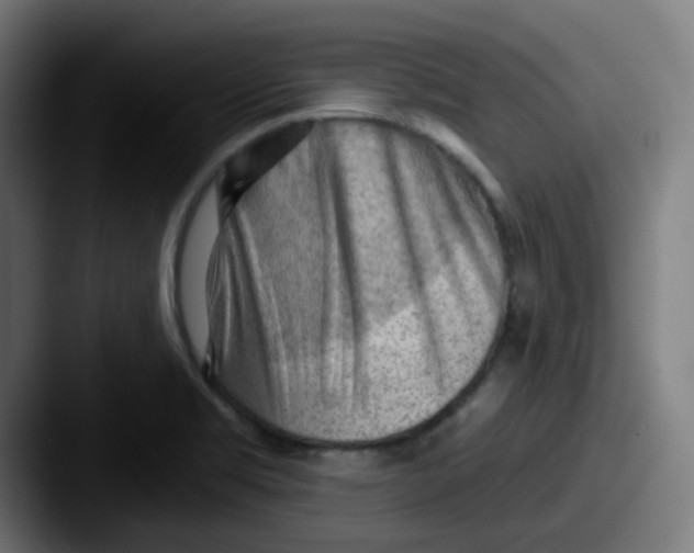 X0000087551469200705181058