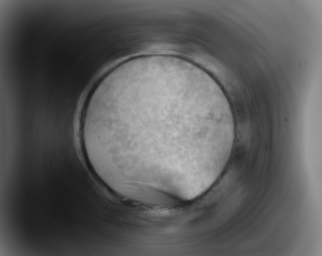 X0000087551470200705181058