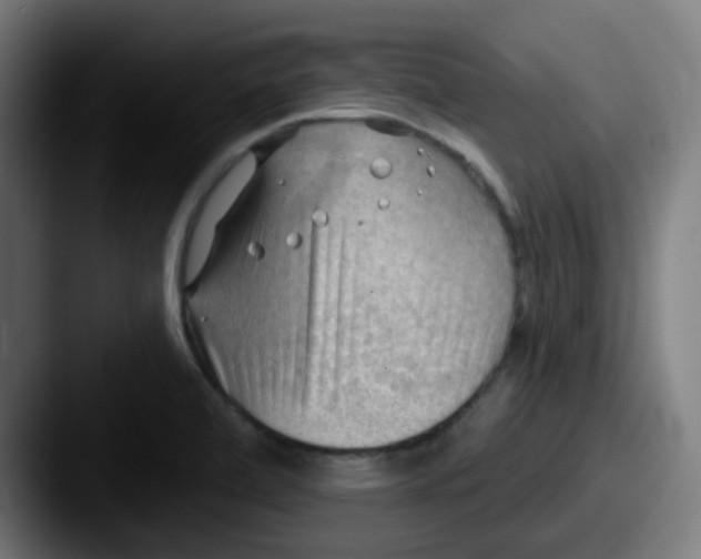 X0000087551472200705181058