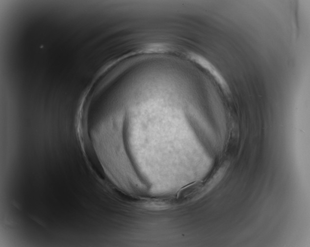 X0000087551473200705181057