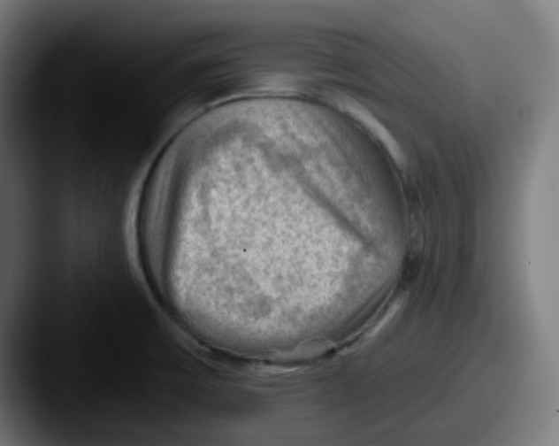 X0000087551475200705181057