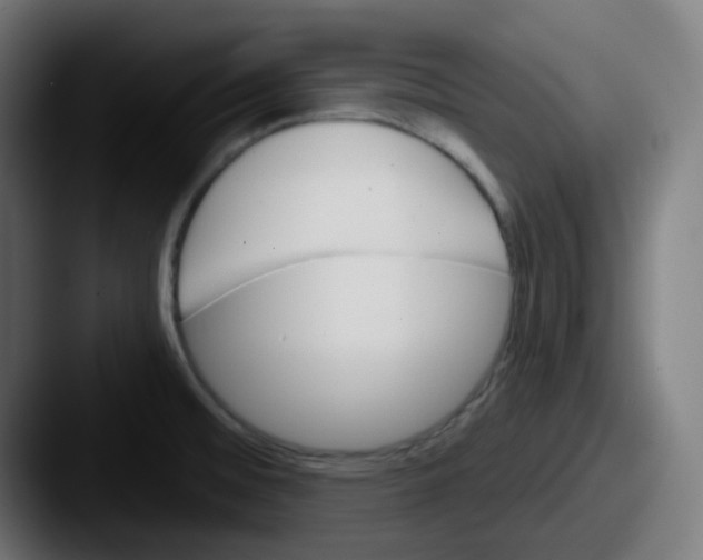 X0000087551476200705181057