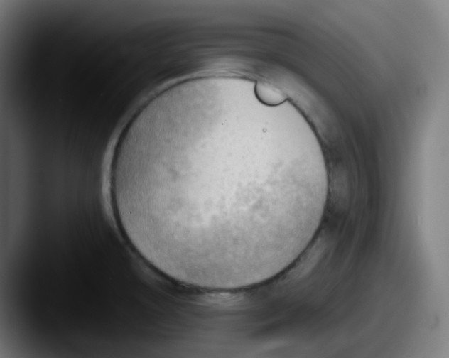 X0000087551478200705181057