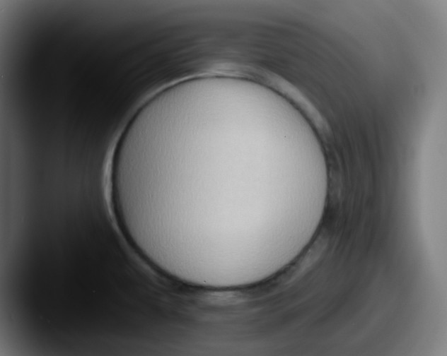 X0000087551479200705181057