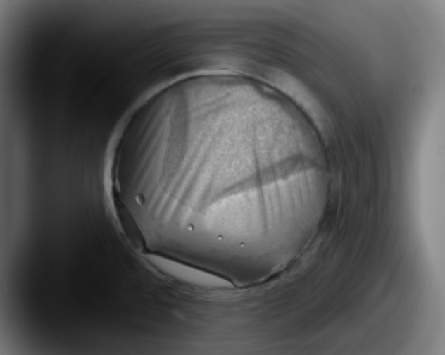 X0000087551480200705181057