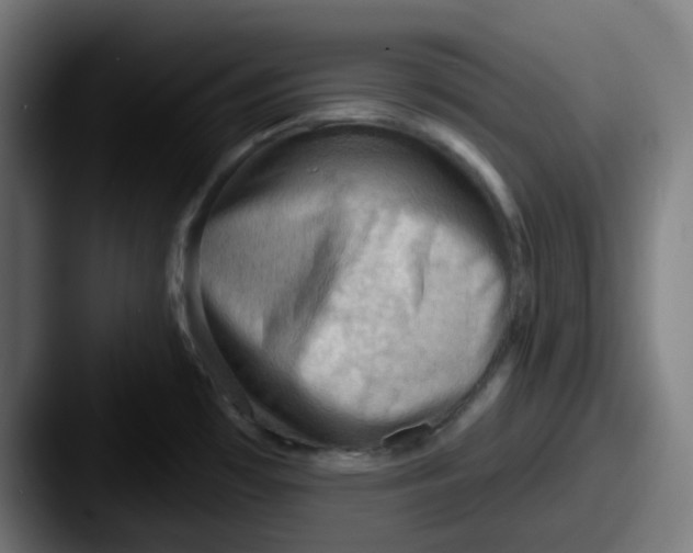 X0000087551481200705181057