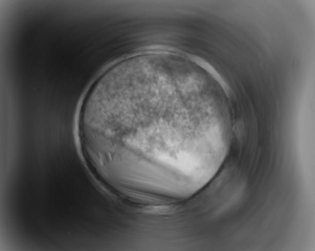 X0000087551482200705181057