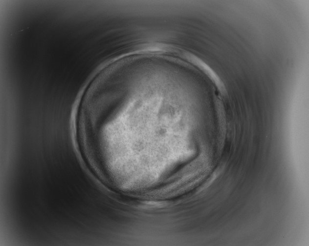 X0000087551483200705181057