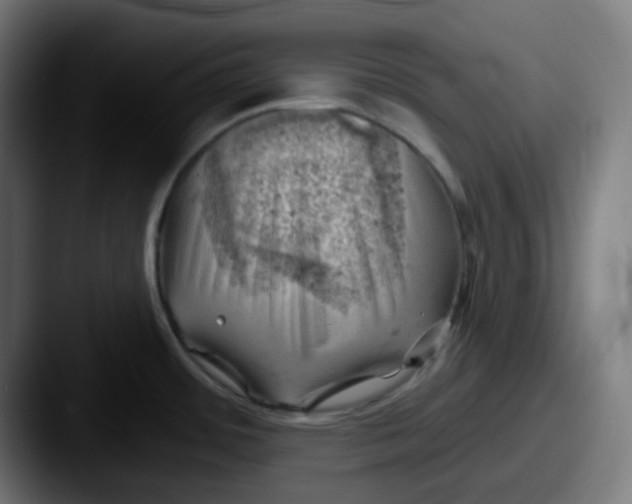 X0000087551484200705181057