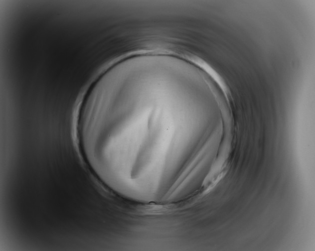 X0000087551485200705181057