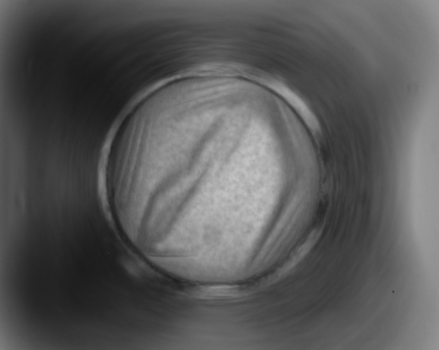 X0000087551486200705181057