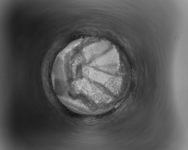 X0000087551489200705181057