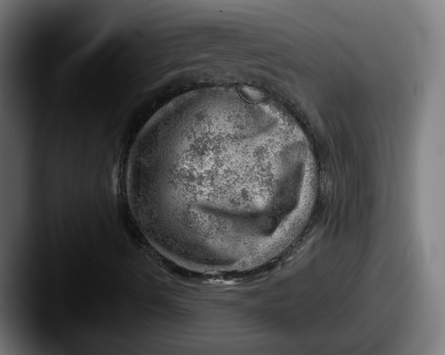 X0000087551490200705181057