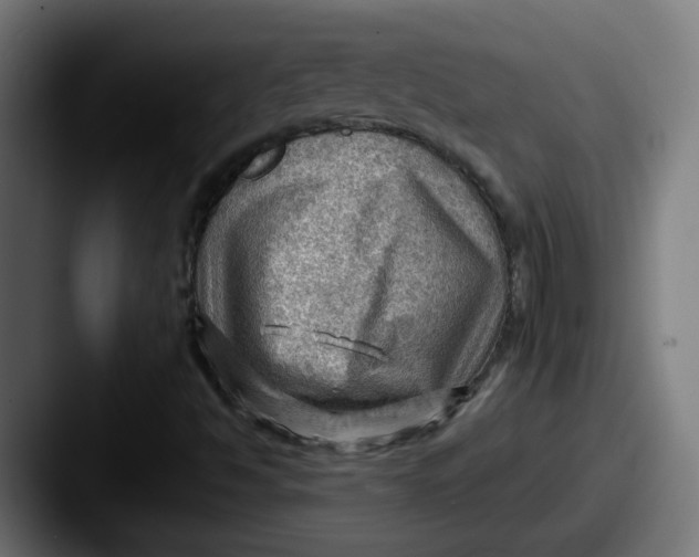 X0000087551494200705181057