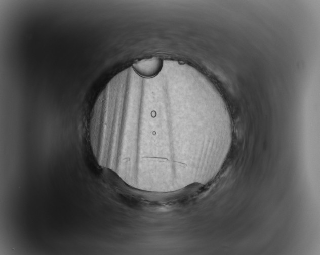 X0000087551495200705181057