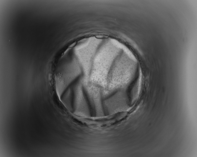 X0000087551496200705181057