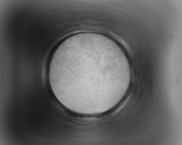 X0000087551498200705181057