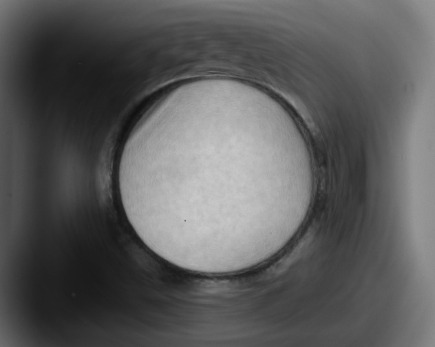 X0000087551499200705181057