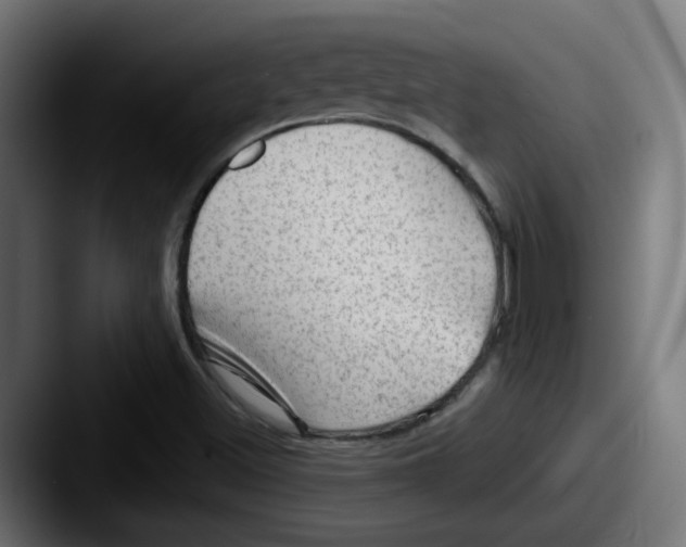 X0000087551500200705181057