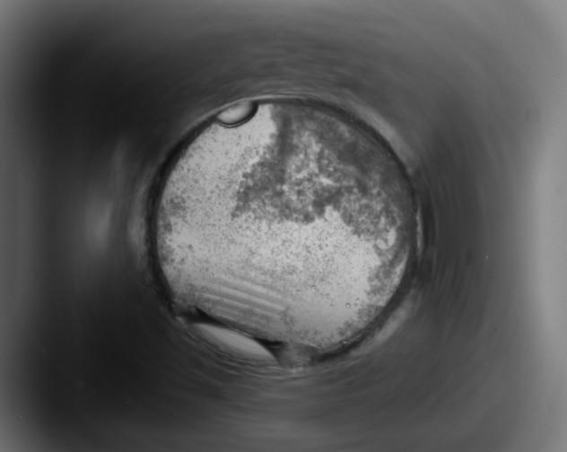 X0000087551501200705181057