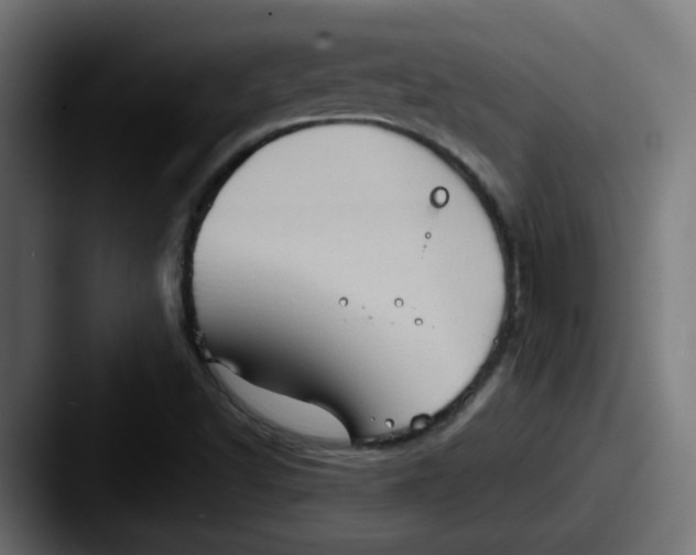 X0000087551502200705181057