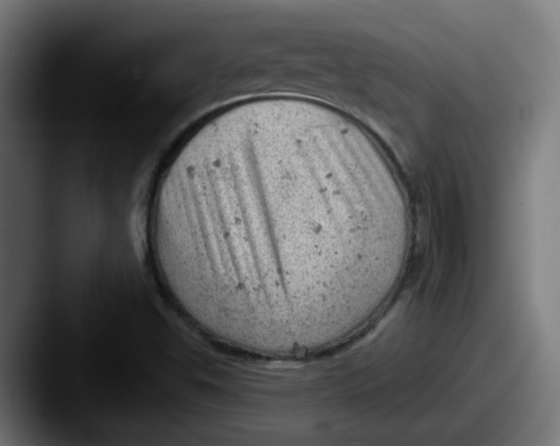 X0000087551503200705181057