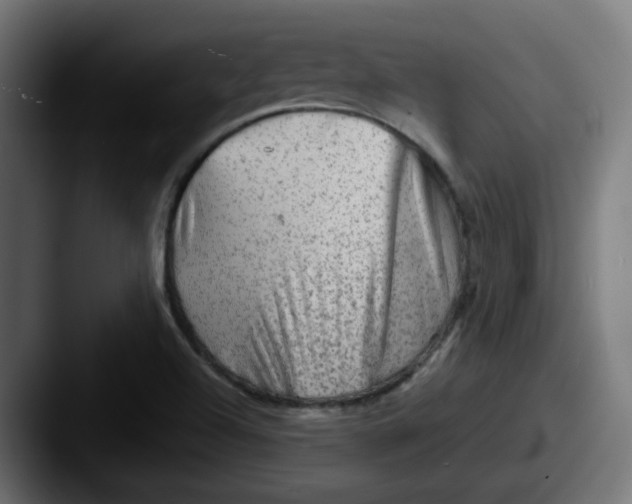 X0000087551504200705181057