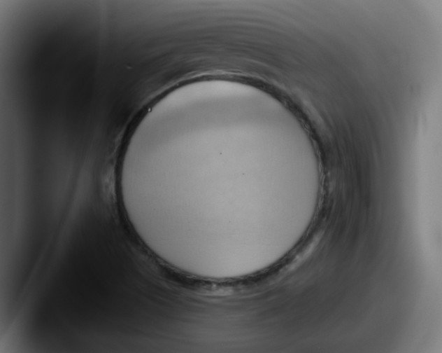 X0000087551505200705181057