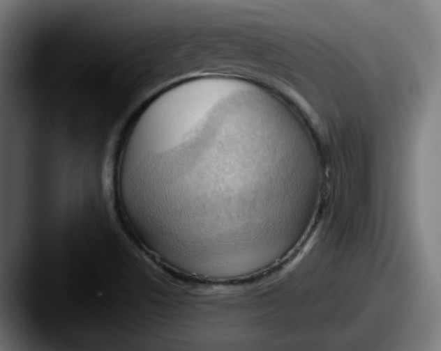 X0000087551506200705181057