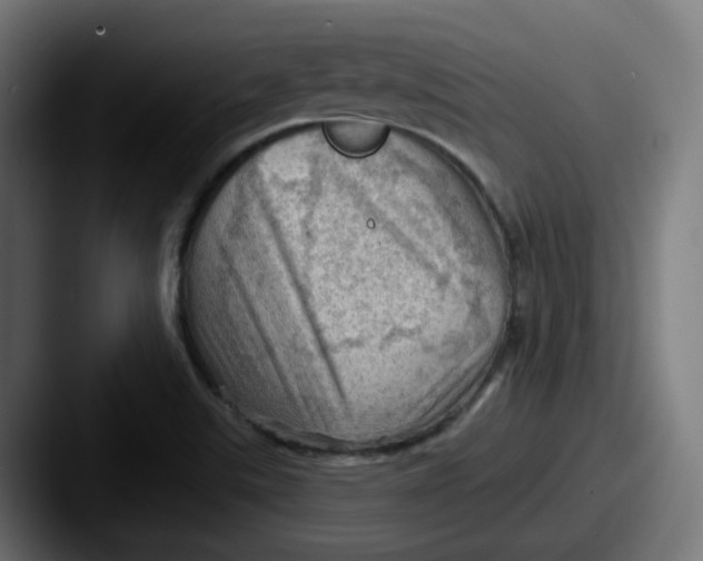 X0000087551507200705181057