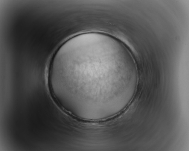 X0000087551508200705181057