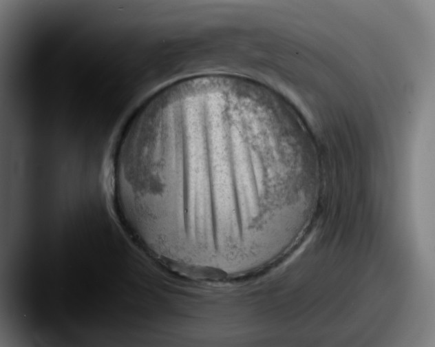 X0000087551509200705181057