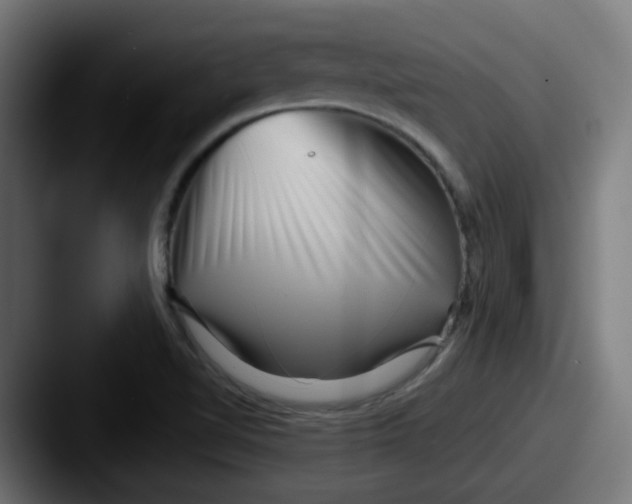 X0000087551510200705181057