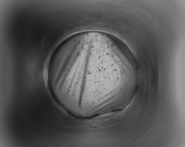 X0000087551511200705181057