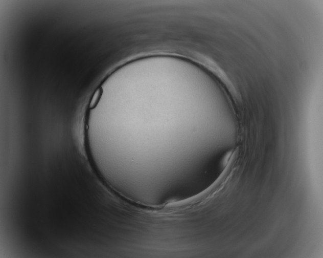 X0000087551512200705181057