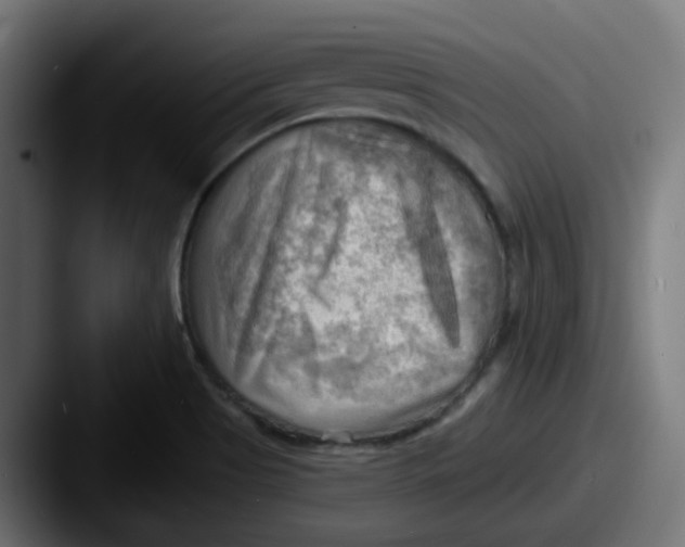 X0000087551513200705181057