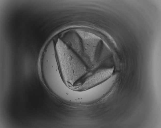 X0000087551514200705181057