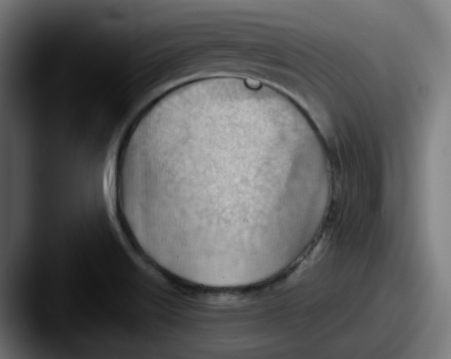 X0000087551515200705181057