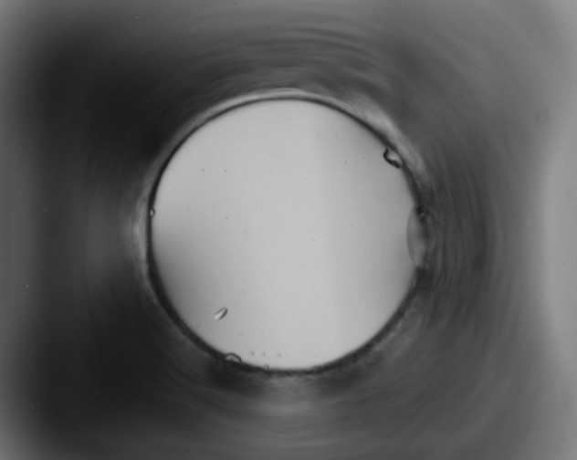 X0000087551516200705181057