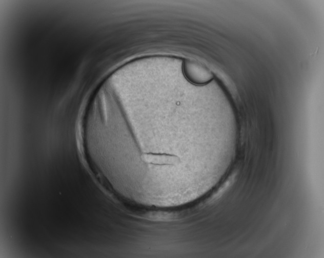 X0000087551517200705181057