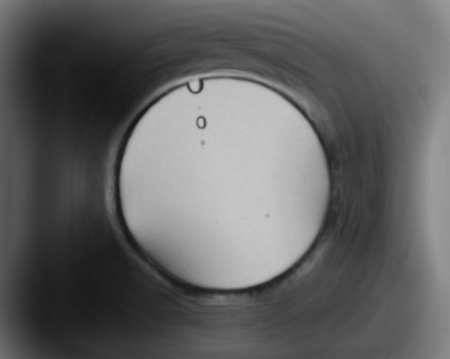 X0000087551518200705181057