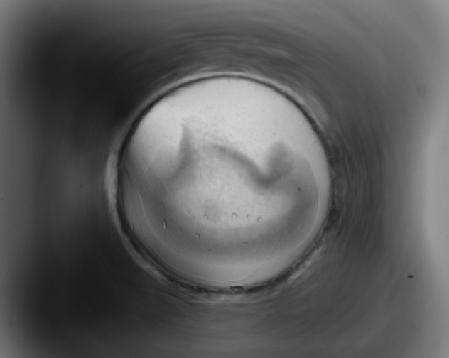 X0000087551519200705181057