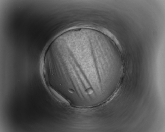 X0000087551520200705181057