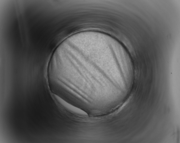 X0000087551521200705181057