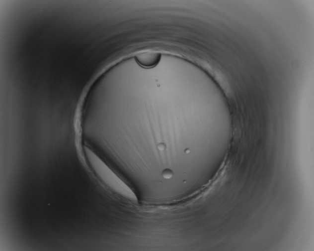 X0000087551522200705181057